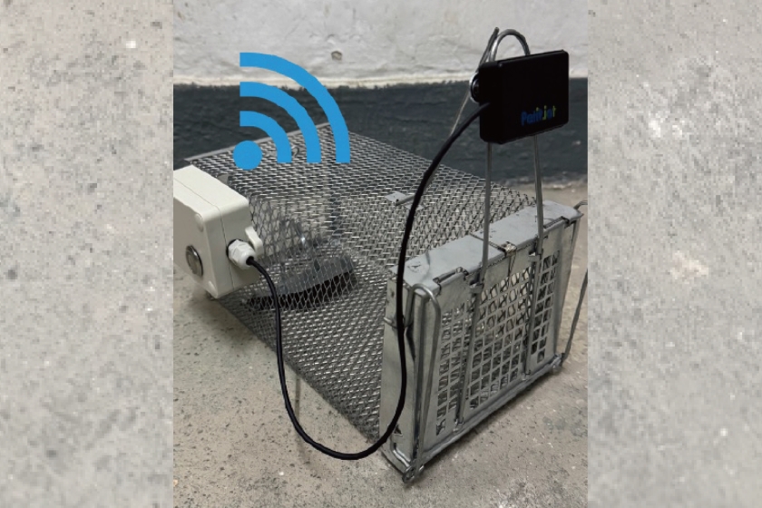 smart_trap_2
